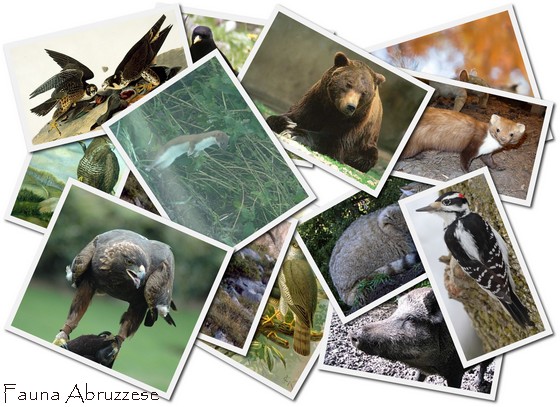 Image hébergée par Casimages.com : votre hébergeur d images simple et gratuit