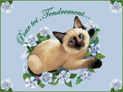 Image hébergée par Casimages.com : votre hébergeur d images simple et gratuit