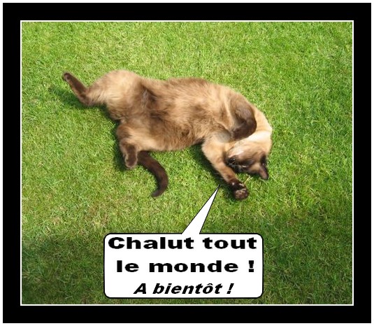 Image hébergée par Casimages.com : votre hébergeur d images simple et gratuit