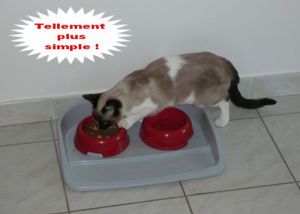 Image hébergée par Casimages.com : votre hébergeur d images simple et gratuit
