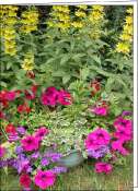 28-Massif%20fleuri_maxi