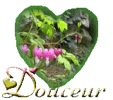 voir l'image en taille réelle