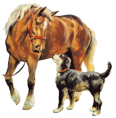 Image h�berg�e par Casimages.com : votre h�bergeur d images simple et gratuit