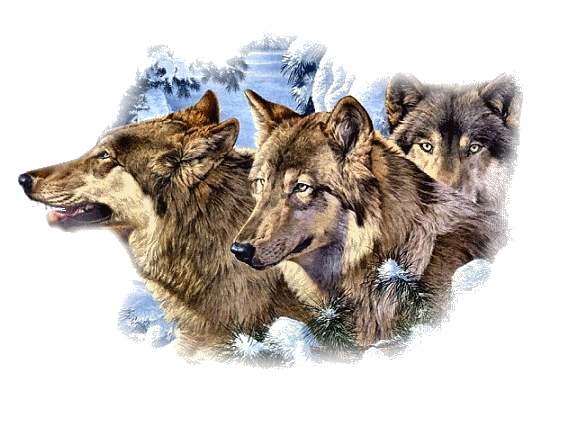 Image h�berg�e par Casimages.com : votre h�bergeur d images simple et gratuit