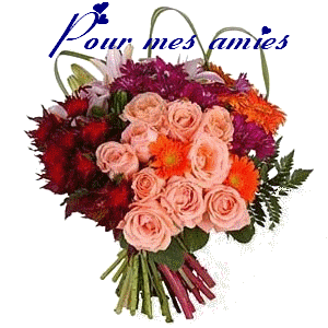 Image h�berg�e par Casimages.com : votre h�bergeur d images simple et gratuit