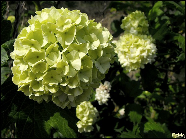 Image hébergée par Casimages.com : votre hébergeur d images simple et gratuit