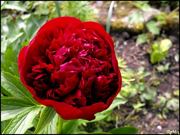 Image hébergée par Casimages.com : votre hébergeur d images simple et gratuit
