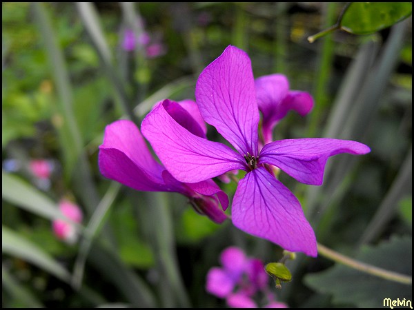 Image hébergée par Casimages.com : votre hébergeur d images simple et gratuit