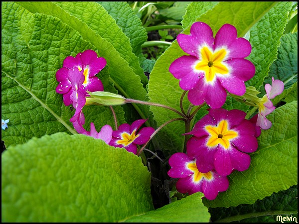 Image hébergée par Casimages.com : votre hébergeur d images simple et gratuit