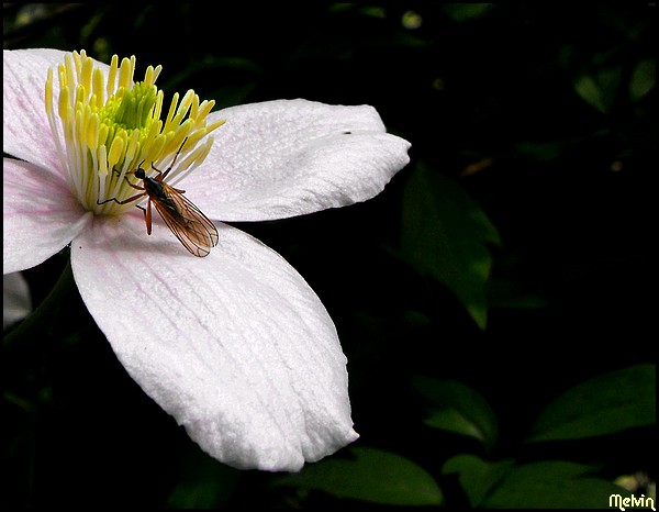 Image hébergée par Casimages.com : votre hébergeur d images simple et gratuit