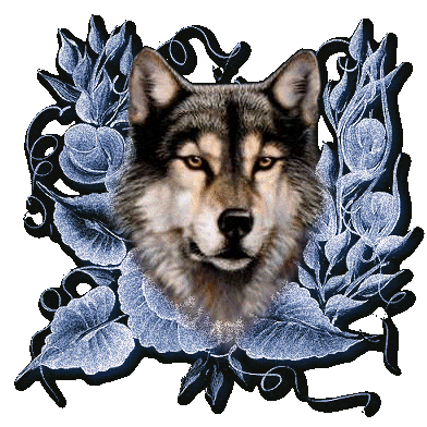 Image h�berg�e par Casimages.com : votre h�bergeur d images simple et gratuit