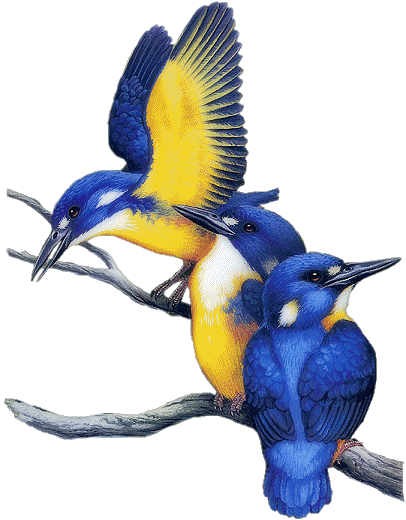 Image h�berg�e par Casimages.com : votre h�bergeur d images simple et gratuit