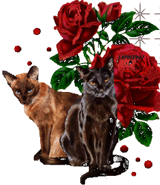Image h�berg�e par Casimages.com : votre h�bergeur d images simple et gratuit