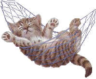 Image h�berg�e par Casimages.com : votre h�bergeur d images simple et gratuit