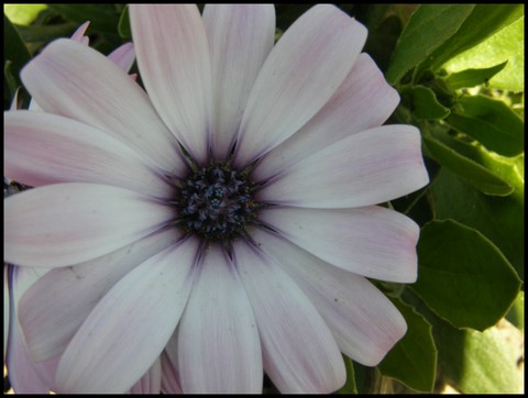 Image hébergée par Casimages.com : votre hébergeur d images simple et gratuit