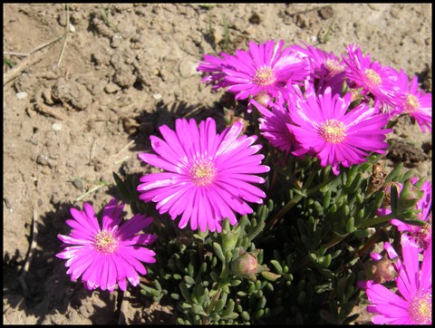 Image hébergée par Casimages.com : votre hébergeur d images simple et gratuit