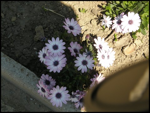 Image hébergée par Casimages.com : votre hébergeur d images simple et gratuit