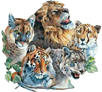 Image h�berg�e par Casimages.com : votre h�bergeur d images simple et gratuit