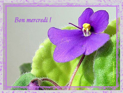 Image hébergée par Casimages.com : votre hébergeur d images simple et gratuit