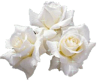 Image hébergée par Casimages.com : votre hébergeur d images simple et gratuit