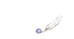 Image hébergée par Casimages.com : votre hébergeur d images simple et gratuit