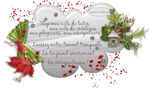 Image hébergée par Casimages.com : votre hébergeur d images simple et gratuit