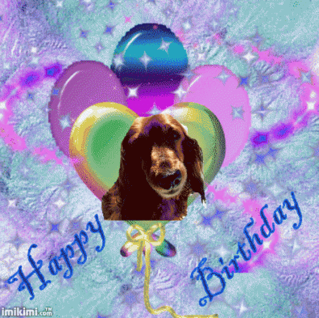 Image h�berg�e par Casimages.com : votre h�bergeur d images simple et gratuit