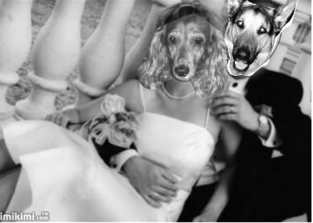 Image h�berg�e par Casimages.com : votre h�bergeur d images simple et gratuit