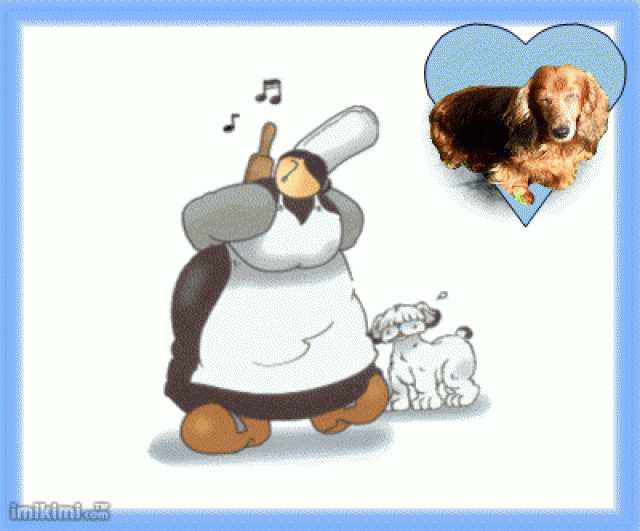 Image h�berg�e par Casimages.com : votre h�bergeur d images simple et gratuit