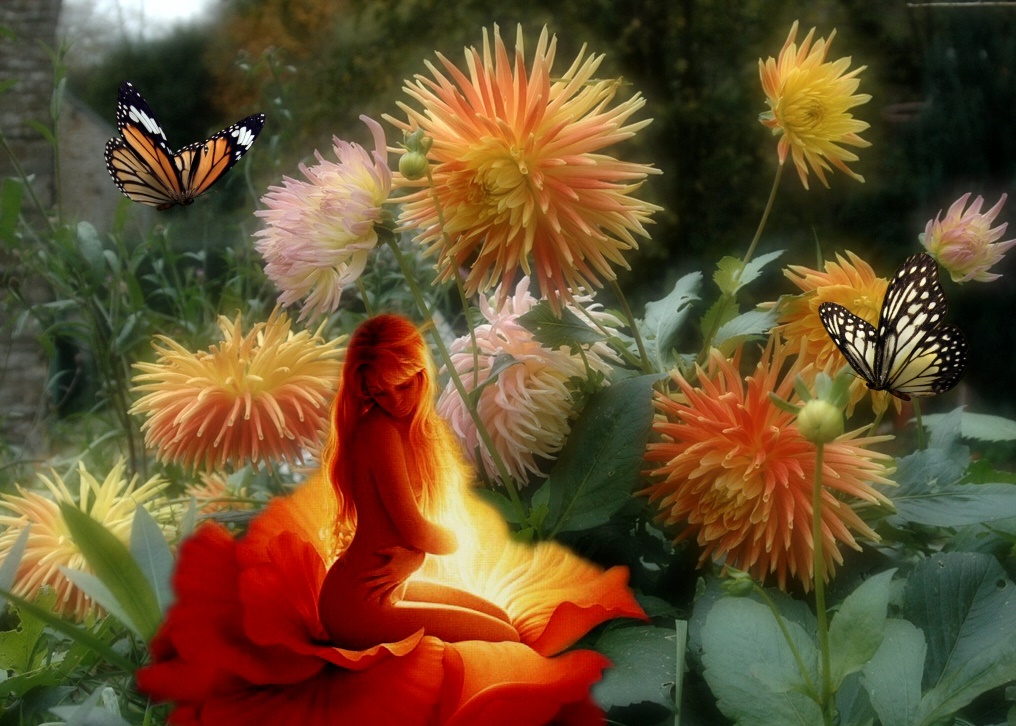 Image hébergée par Casimages.com : votre hébergeur d images simple et gratuit