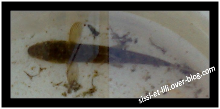 Image hébergée par Casimages.com : votre hébergeur d images simple et gratuit