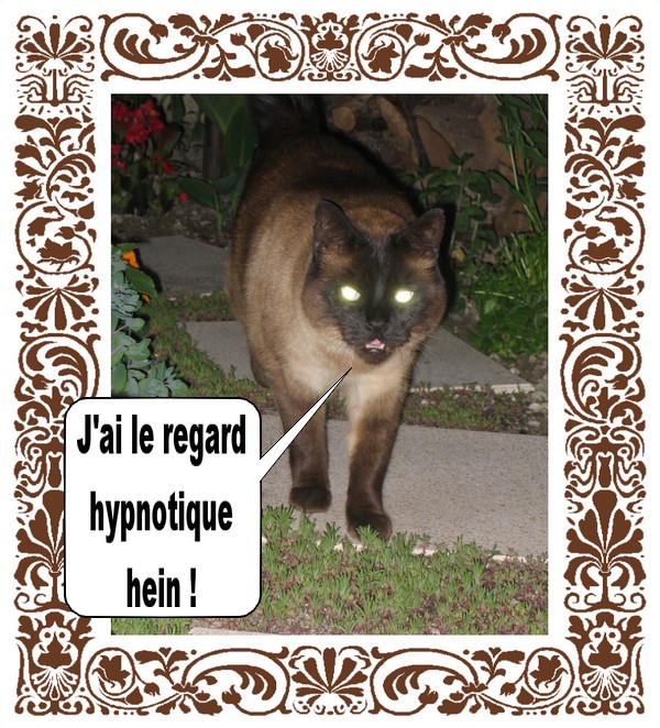 Image hébergée par Casimages.com : votre hébergeur d images simple et gratuit