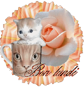 Image hébergée par Casimages.com : votre hébergeur d images simple et gratuit