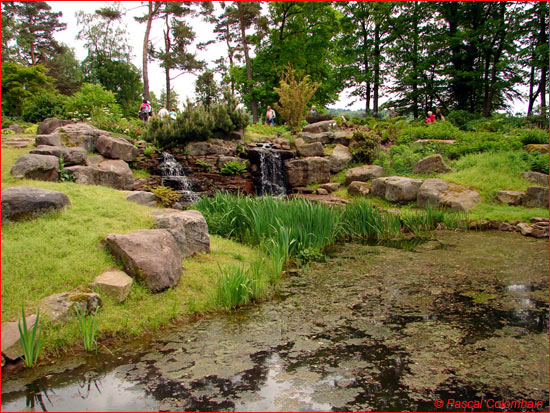 Jardin de Callunes
