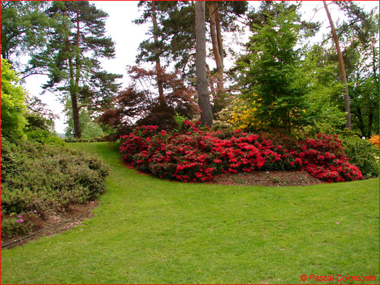 Jardin de Callunes