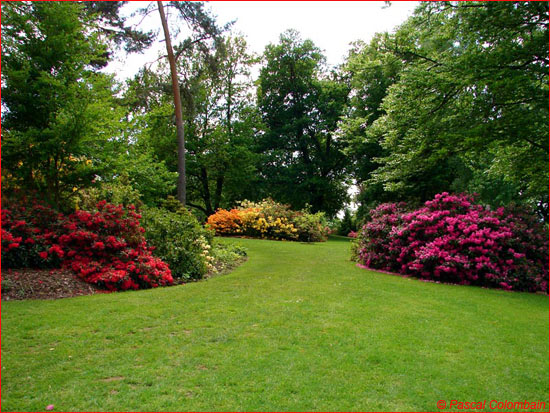 Jardins de Callunes