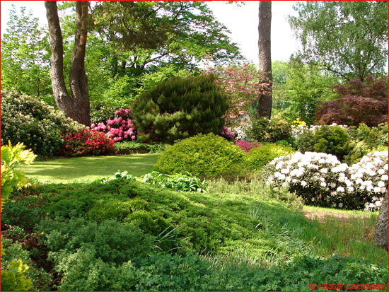 Jardins de Callunes