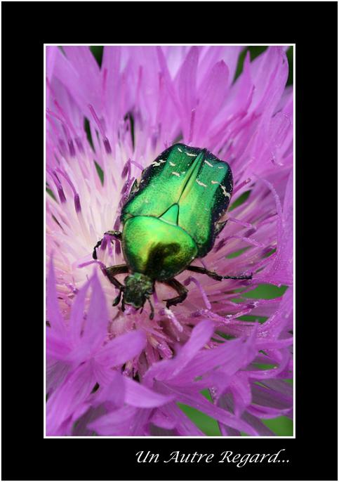 Image hébergée par Casimages.com : votre hébergeur d images simple et gratuit