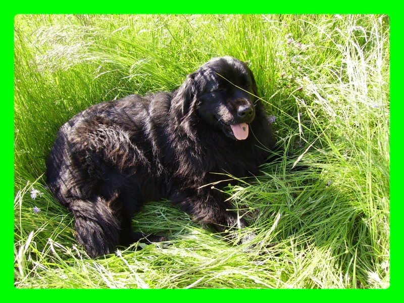 Image hébergée par Casimages.com : votre hébergeur d images simple et gratuit