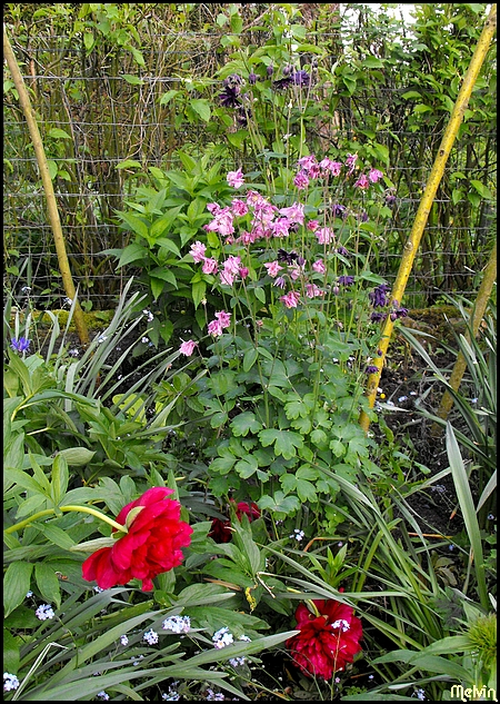 Image hébergée par Casimages.com : votre hébergeur d images simple et gratuit