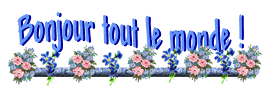 Bon dimanche dans amitie 090517120401414243673781