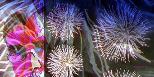 Image hébergée par Casimages.com : votre hébergeur d images simple et gratuit