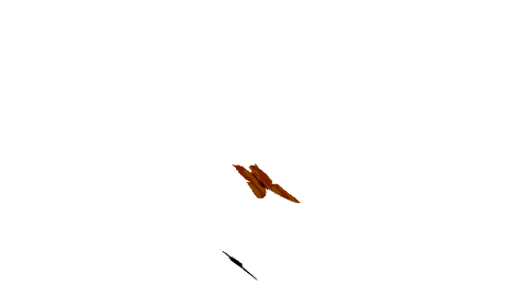 Image hébergée par Casimages.com : votre hébergeur d images simple et gratuit