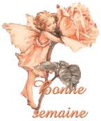 Cliquez pour afficher l'image en taille r�elle