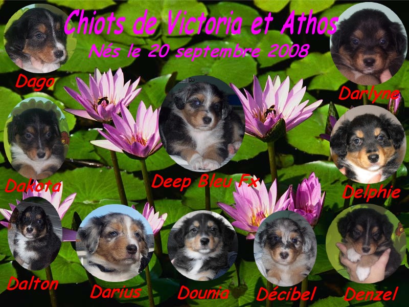 Image h�berg�e par Casimages.com : votre h�bergeur d images simple et gratuit