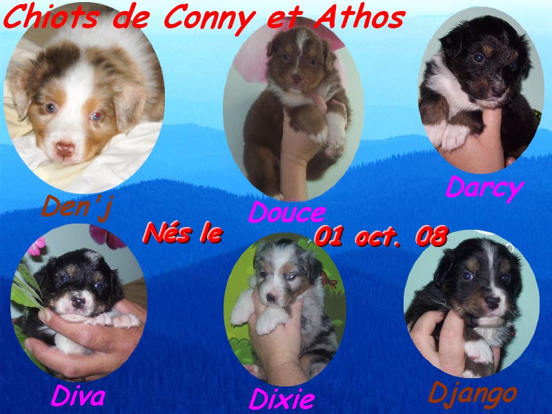 Image h�berg�e par Casimages.com : votre h�bergeur d images simple et gratuit