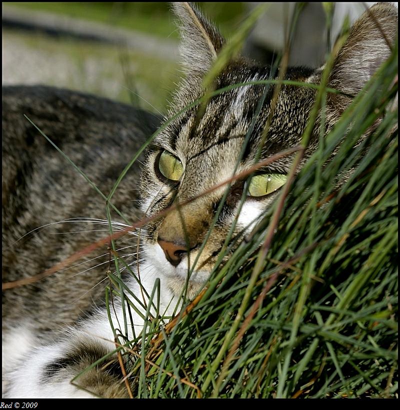 Image hébergée par Casimages.com : votre hébergeur d images simple
et gratuit