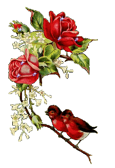Image h�berg�e par Casimages.com : votre h�bergeur d images simple et gratuit