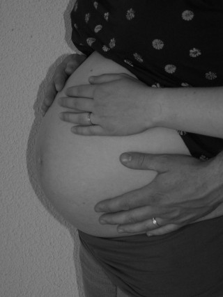 Image hébergée par Casimages.com : votre hébergeur d images simple et gratuit