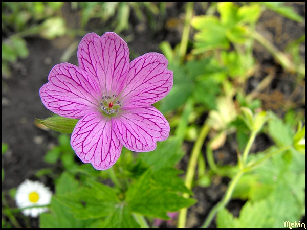 Image hébergée par Casimages.com : votre hébergeur d images simple et gratuit